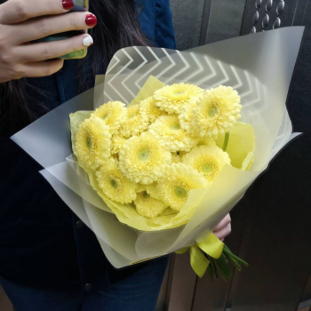 29 лимонных гербер 29 лимонных гербер