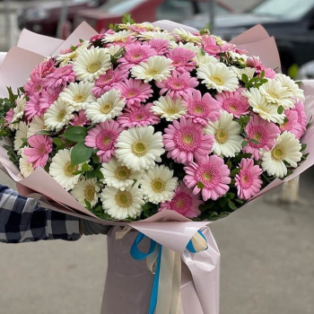Бело-розовый букет из 101 герберы