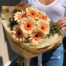 9 оранжевых гербер в букете 9 оранжевых гербер в букете