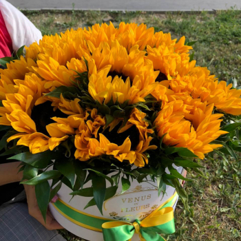 Комнатный цветок с желтыми цветами - 74 фото