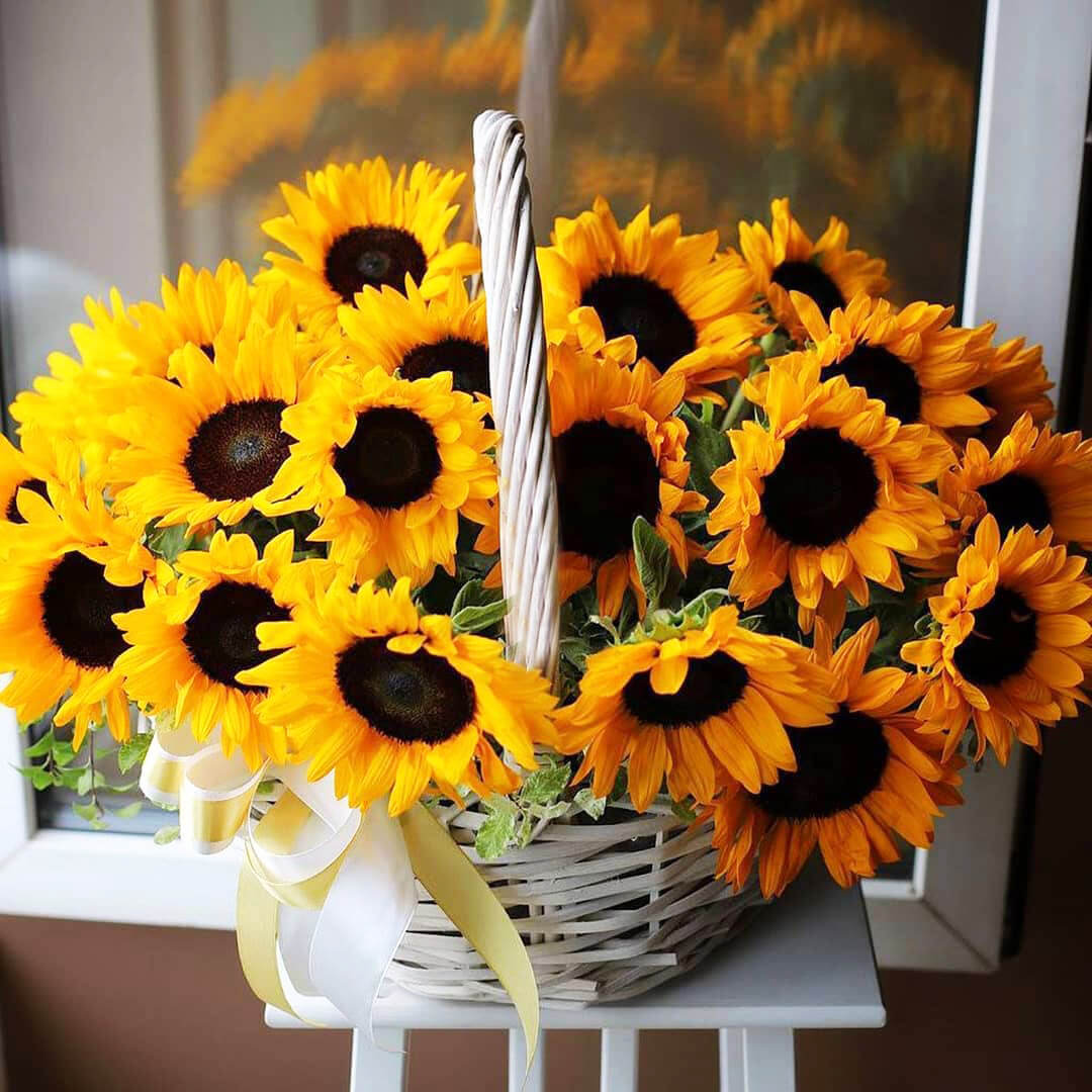 41 подсолнух в корзине 41 подсолнух в корзине