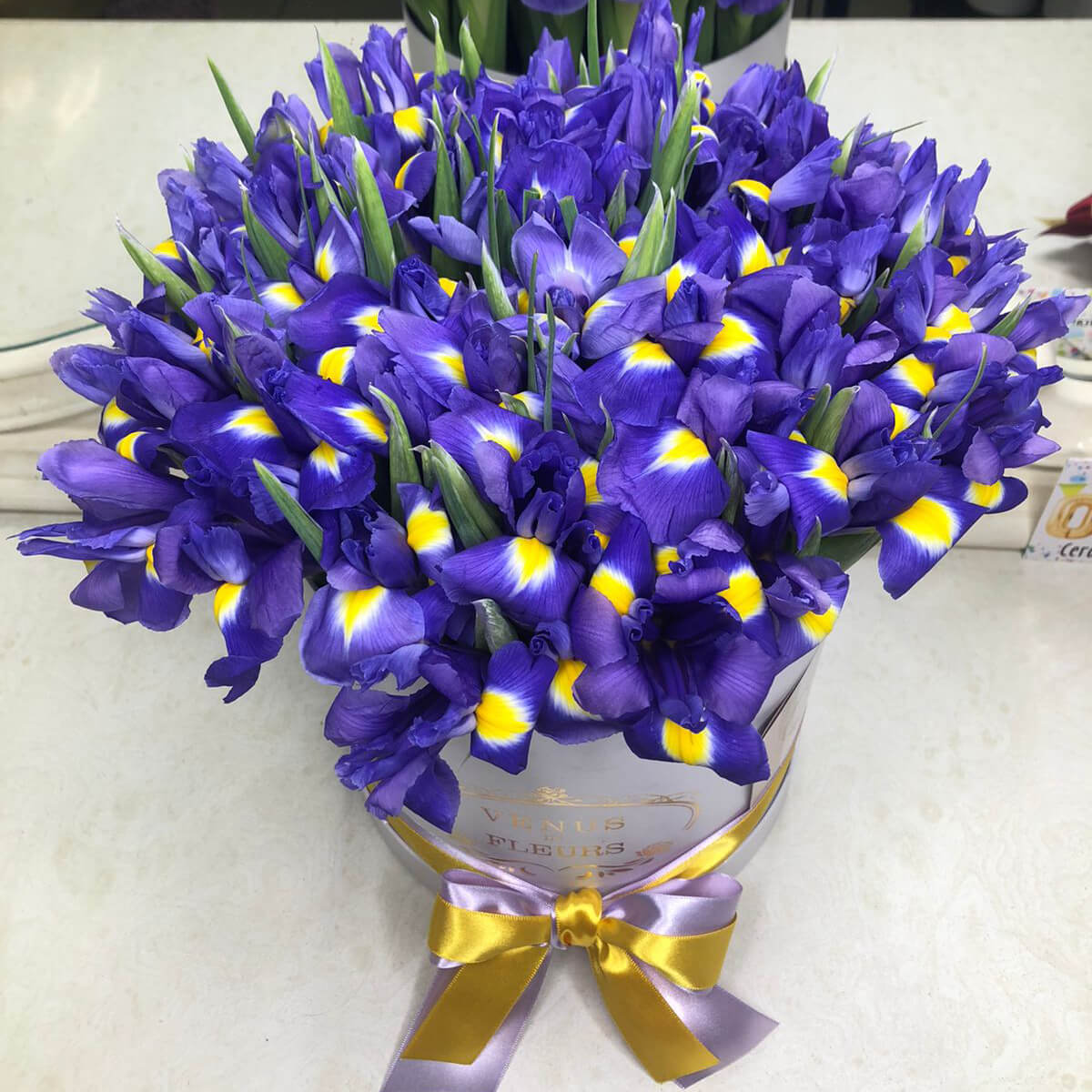101 фиолетовый ирис в коробке 101 фиолетовый ирис в коробке