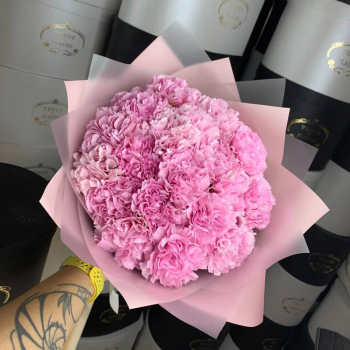 19 нежных розовых гвоздик в букете 19 нежных розовых гвоздик в букете