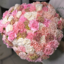 Нежный букет из 101 гвоздики Нежный букет из 101 гвоздики