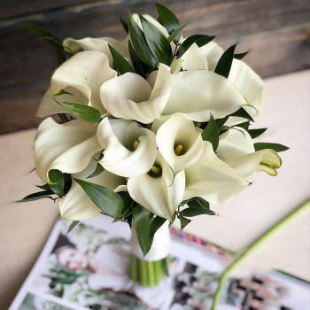 19 белых калл с листьями