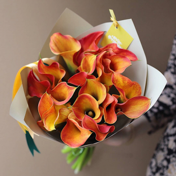 19 коралловых калл в букете