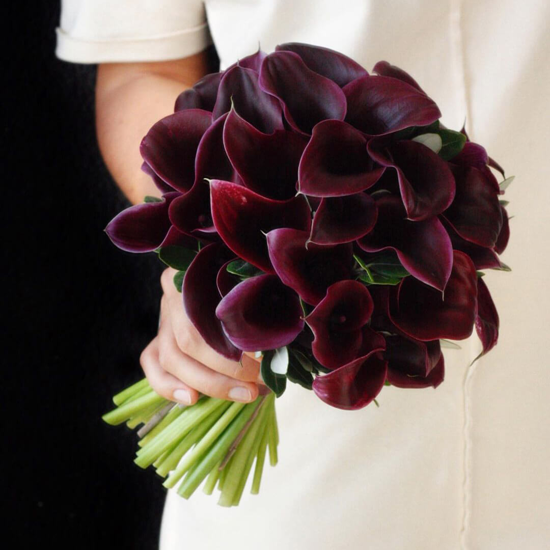 29 черных калл в букете 29 черных калл в букете