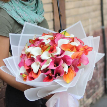 41 разноцветная калла в букете