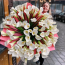 101 калла в букете 101 калла в букете