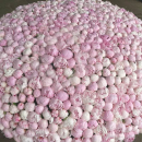 1001 пион в коробке 1001 пион в коробке