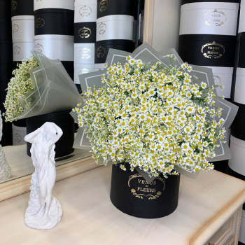 25 кустовых ромашек в букете 25 кустовых ромашек в букете