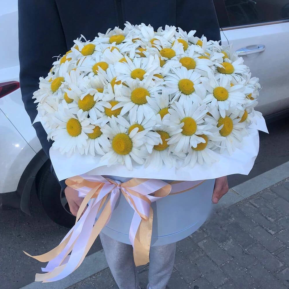 29 ромашек в коробке 29 ромашек в коробке