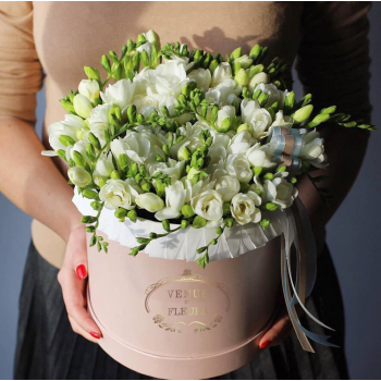 51 белая фрезия в коробке 51 белая фрезия в коробке