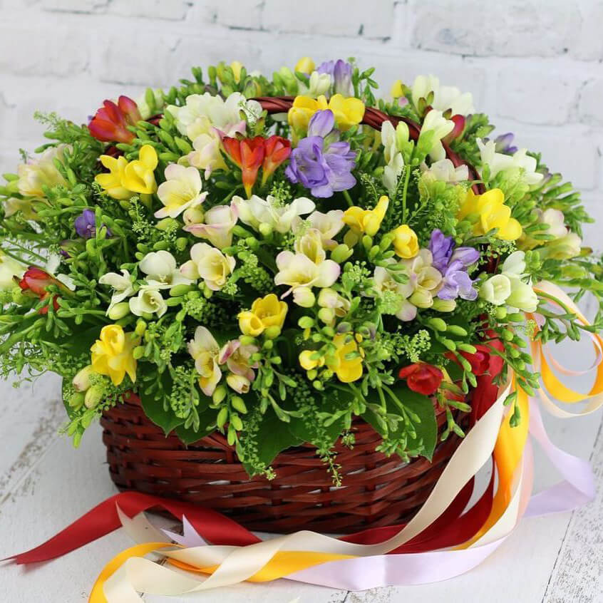 201 разноцветная фрезия в корзине 201 разноцветная фрезия в корзине