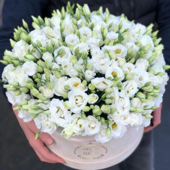 51 белая эустома в коробке