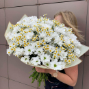Ромашки с хризантемами - 35 шт. Ромашки с хризантемами - 35 шт.