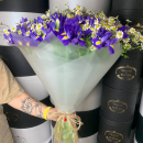 25 ромашек с 50 ирисами в букете 25 ромашек с 50 ирисами в букете