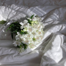 9 альстромерий в букете 9 альстромерий в букете