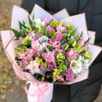 29 альстромерий в нежных тонах