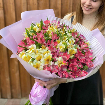 29 бело-розовых альстромерий