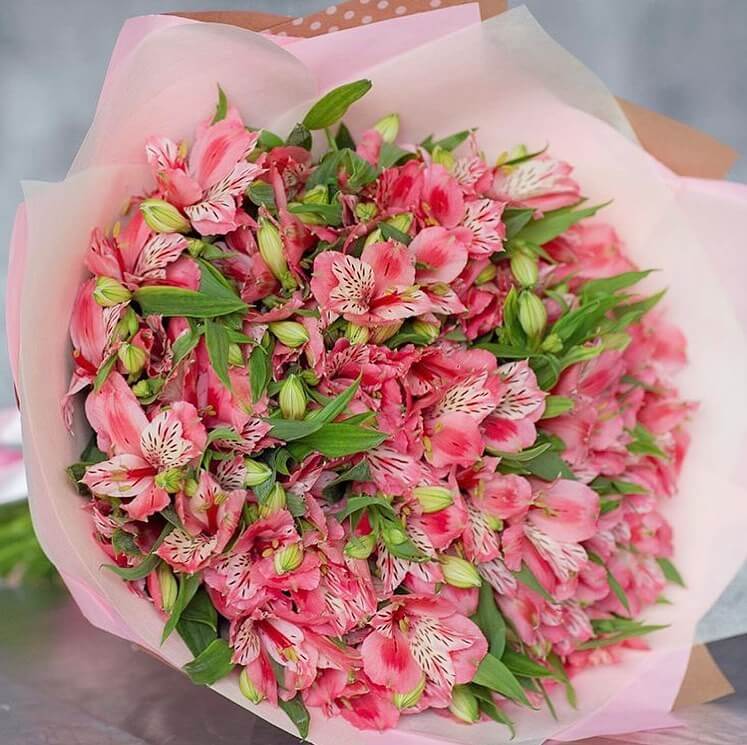 29 розовых альстромерий в букете 29 розовых альстромерий в букете