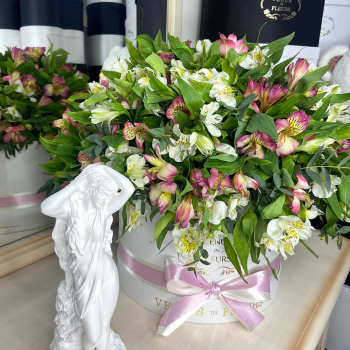 51 альстромерия в коробке 51 альстромерия в коробке