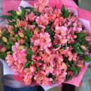 151 альстромерия в букете 151 альстромерия в букете