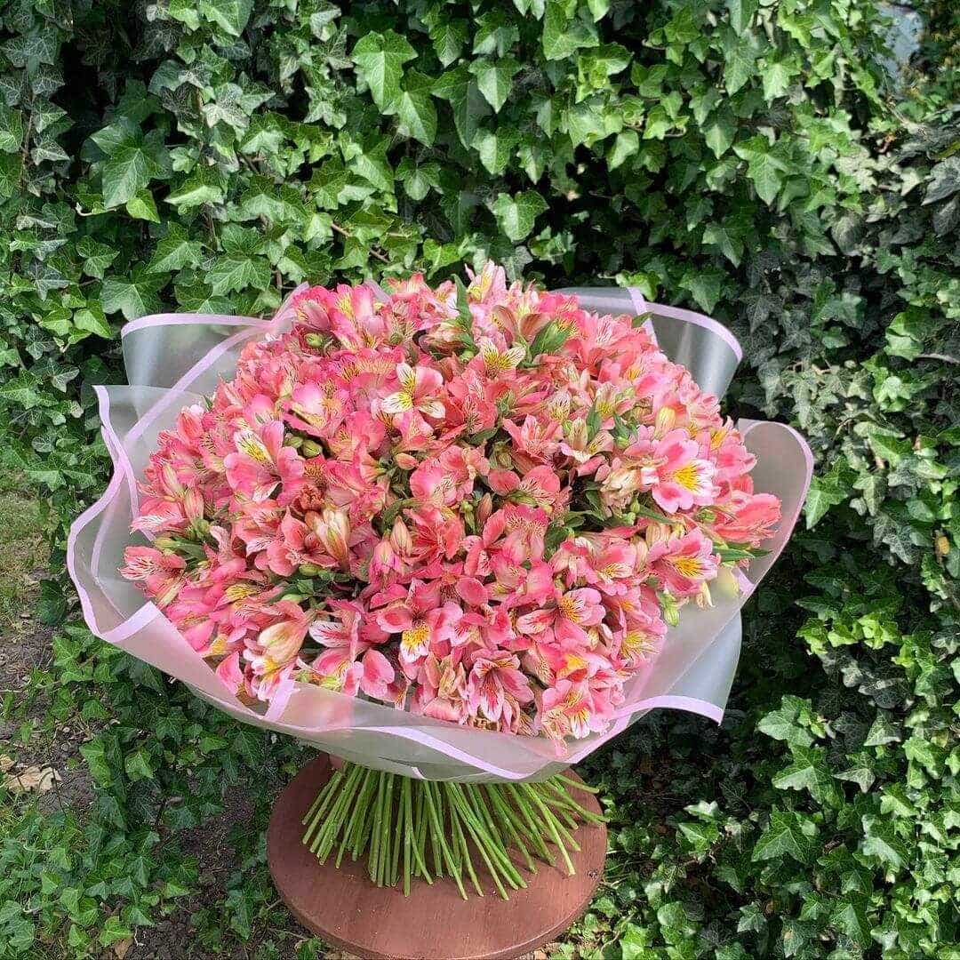 201 розовая альстромерия в букете 201 розовая альстромерия в букете