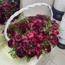 Бордовые пионы в корзине от 25 шт. Бордовые пионы в корзине от 25 шт.