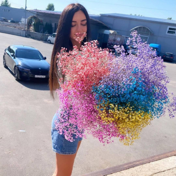 25 радужных гипсофил в букете