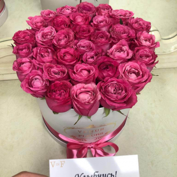 25 малиновых роз в коробке 25 малиновых роз в коробке