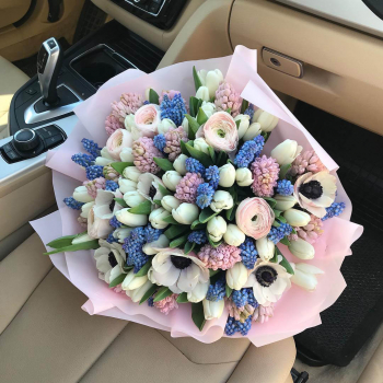 Анемоны в миксе - 65 шт.