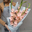 9 розовых гладиолусов с колосьями 9 розовых гладиолусов с колосьями