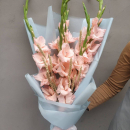 9 розовых гладиолусов с колосьями 9 розовых гладиолусов с колосьями