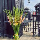 41 гладиолус в букете 41 гладиолус в букете