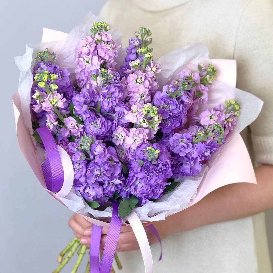 9 сиреневых маттиол в букете 9 сиреневых маттиол в букете