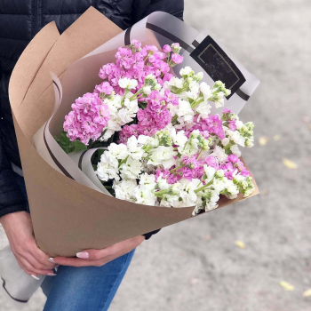 19 бело-розовых маттиол в букете