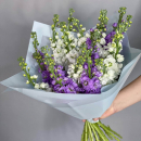 19 бело-фиолетовых маттиол в букете 19 бело-фиолетовых маттиол в букете