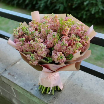 19 нежных маттиол в букете