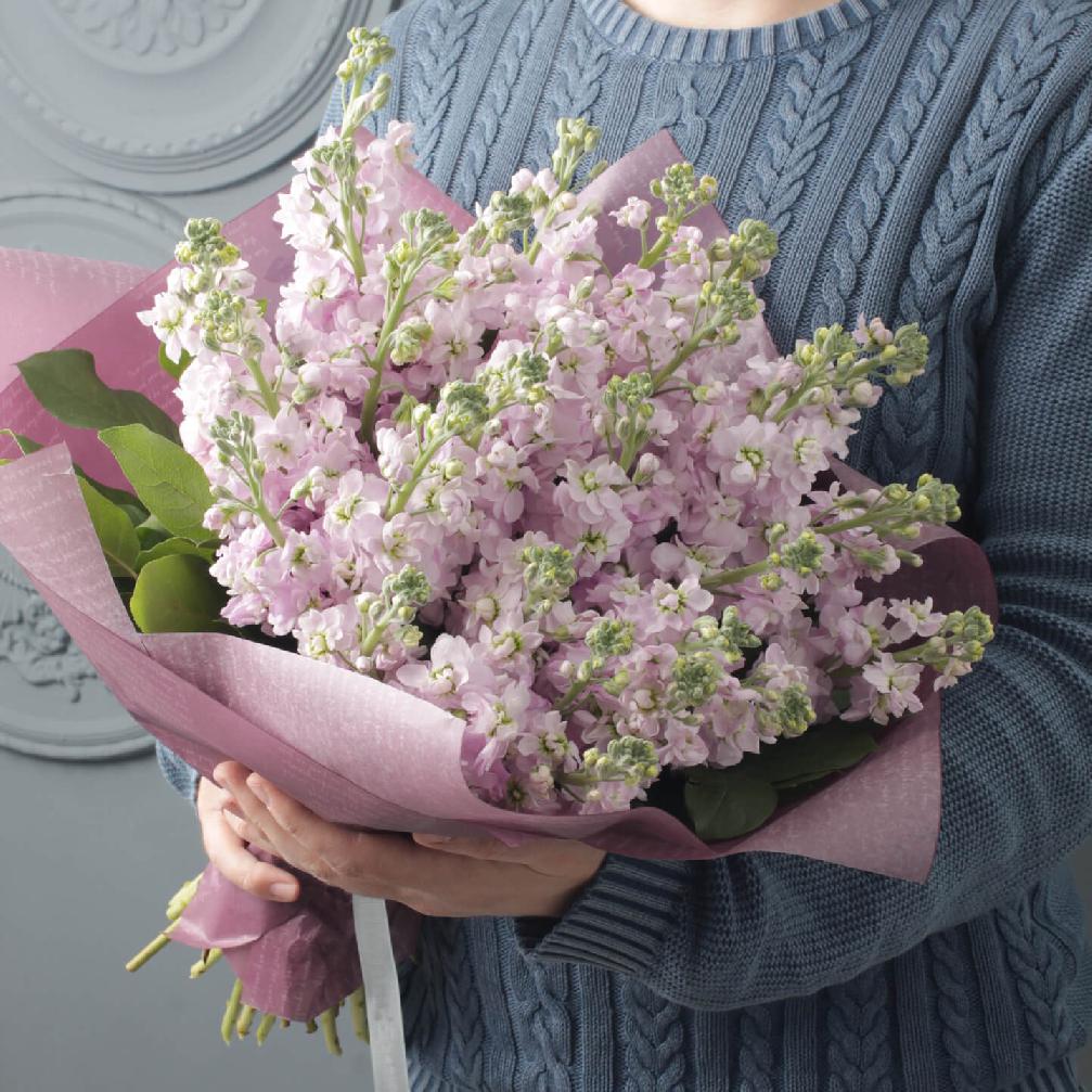 29 нежно-розовых маттиол в букете 29 нежно-розовых маттиол в букете