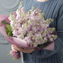 29 нежно-розовых маттиол в букете 29 нежно-розовых маттиол в букете