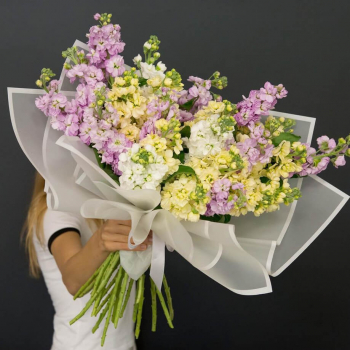 29 маттиол в букете - микс