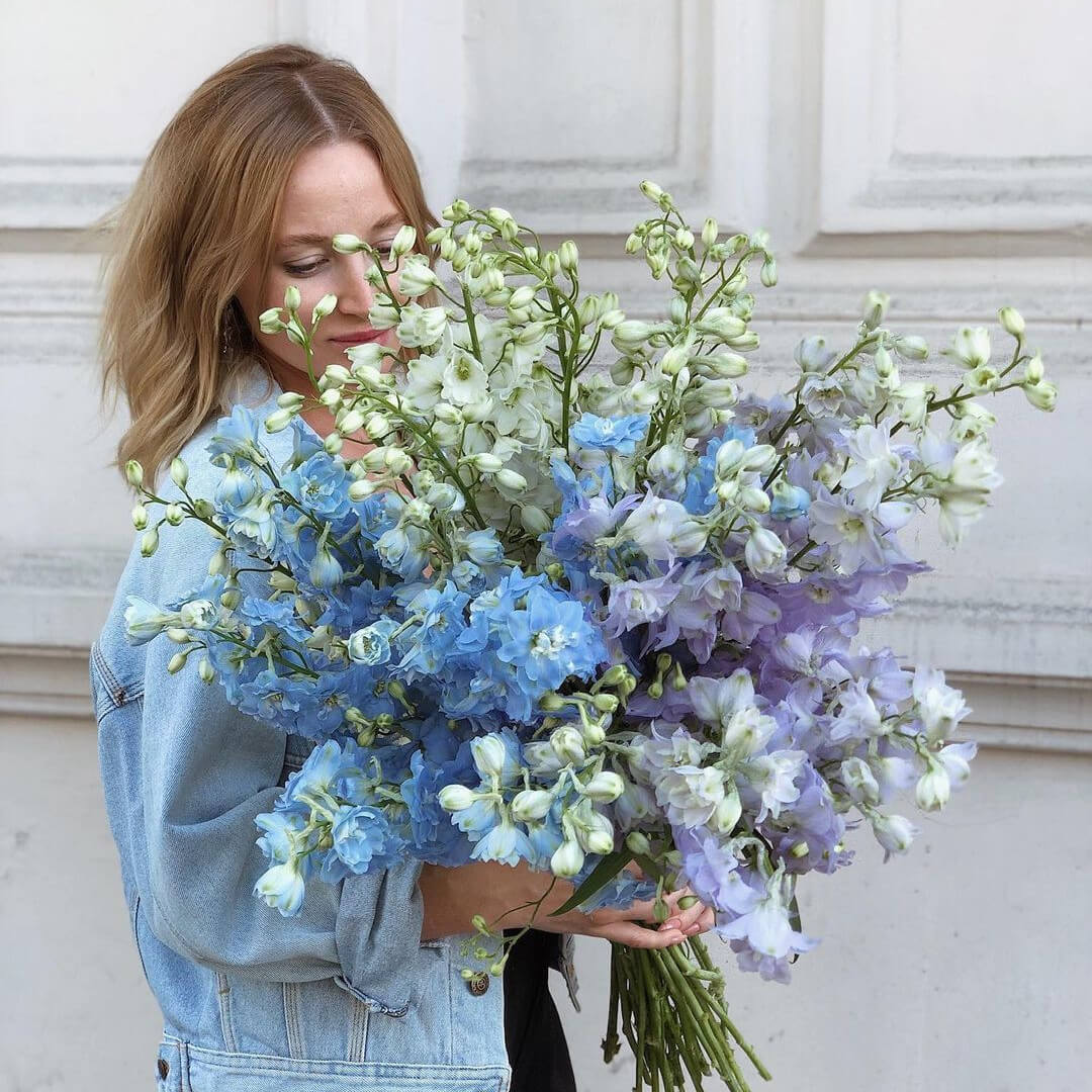 19 небесных дельфиниумов в букете 19 небесных дельфиниумов в букете