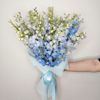 29 голубых дельфиниумов 29 голубых дельфиниумов