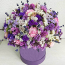 41 лимониум в коробке 41 лимониум в коробке