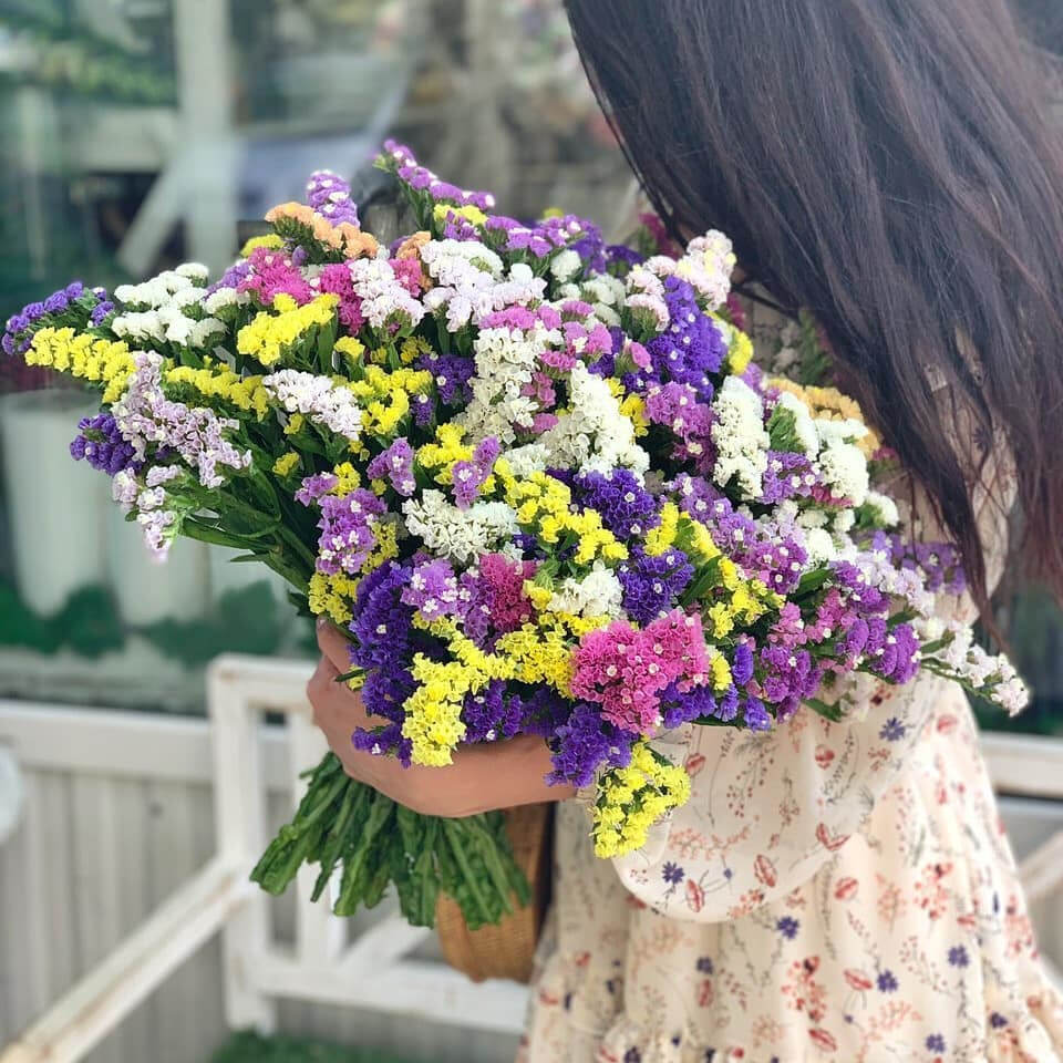 101 разноцветная статица  в букете 101 разноцветная статица  в букете