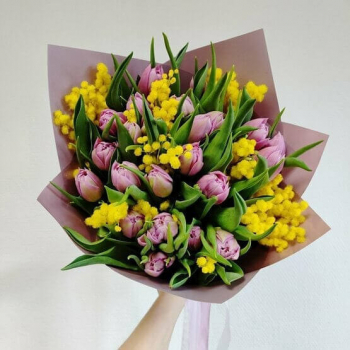 Розовые тюльпаны с мимозой - 25 шт.