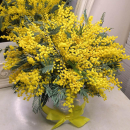 9 мимоз в коробке 9 мимоз в коробке