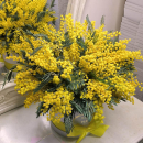 9 мимоз в коробке 9 мимоз в коробке