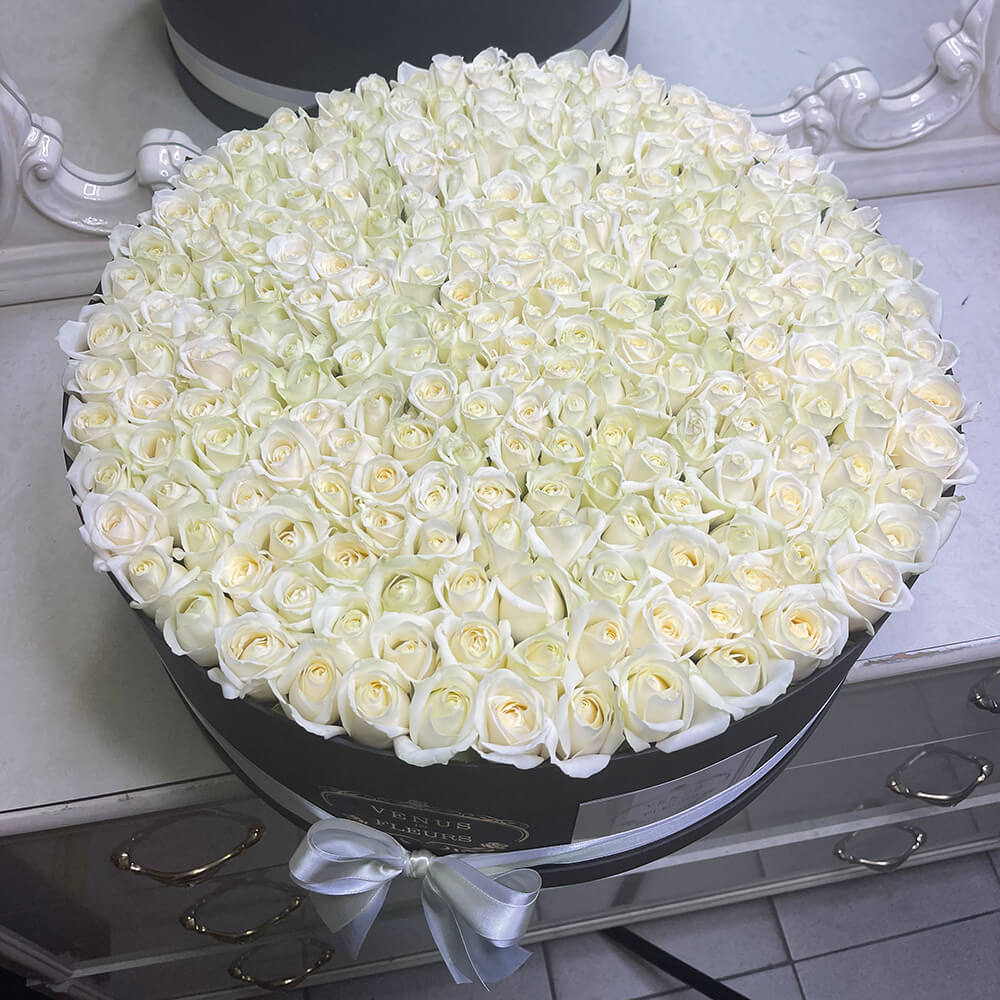 201 белая роза в коробке 201 белая роза в коробке